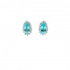 Brinco Paraiba com Brilhantes 