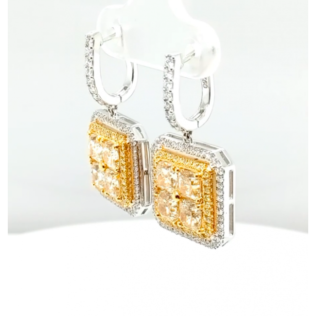 Brinco Brilhante Fancy e White